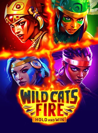Live blackjack game cover