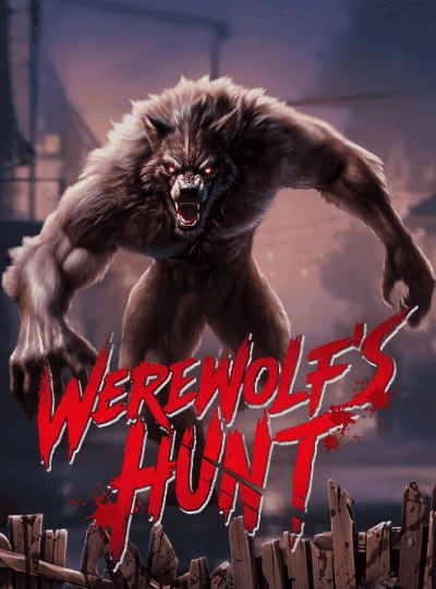 Video slot game cover